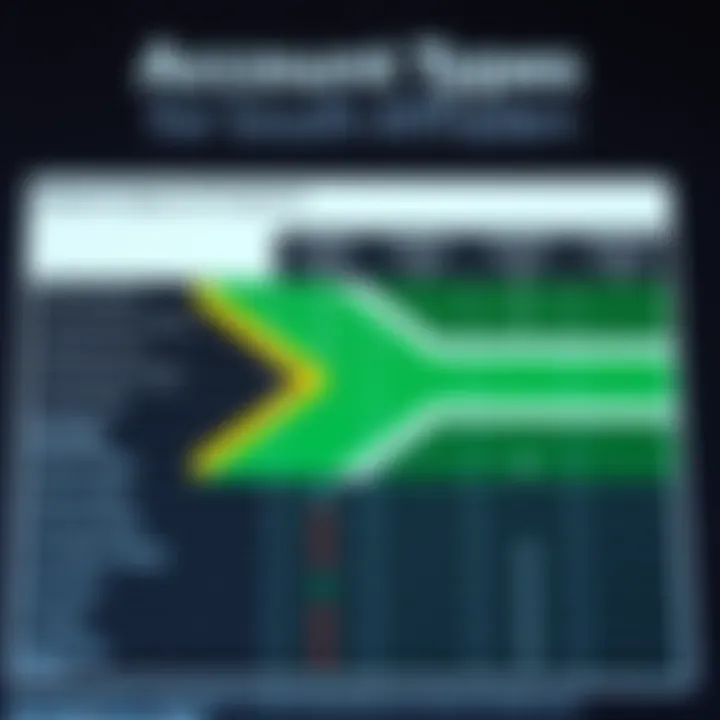 Comparison chart showing features of different RoboForex account types for South African traders